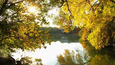 Autumn featured image