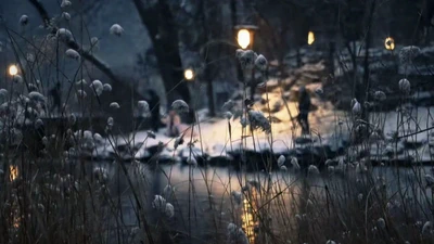 Winter night featured image